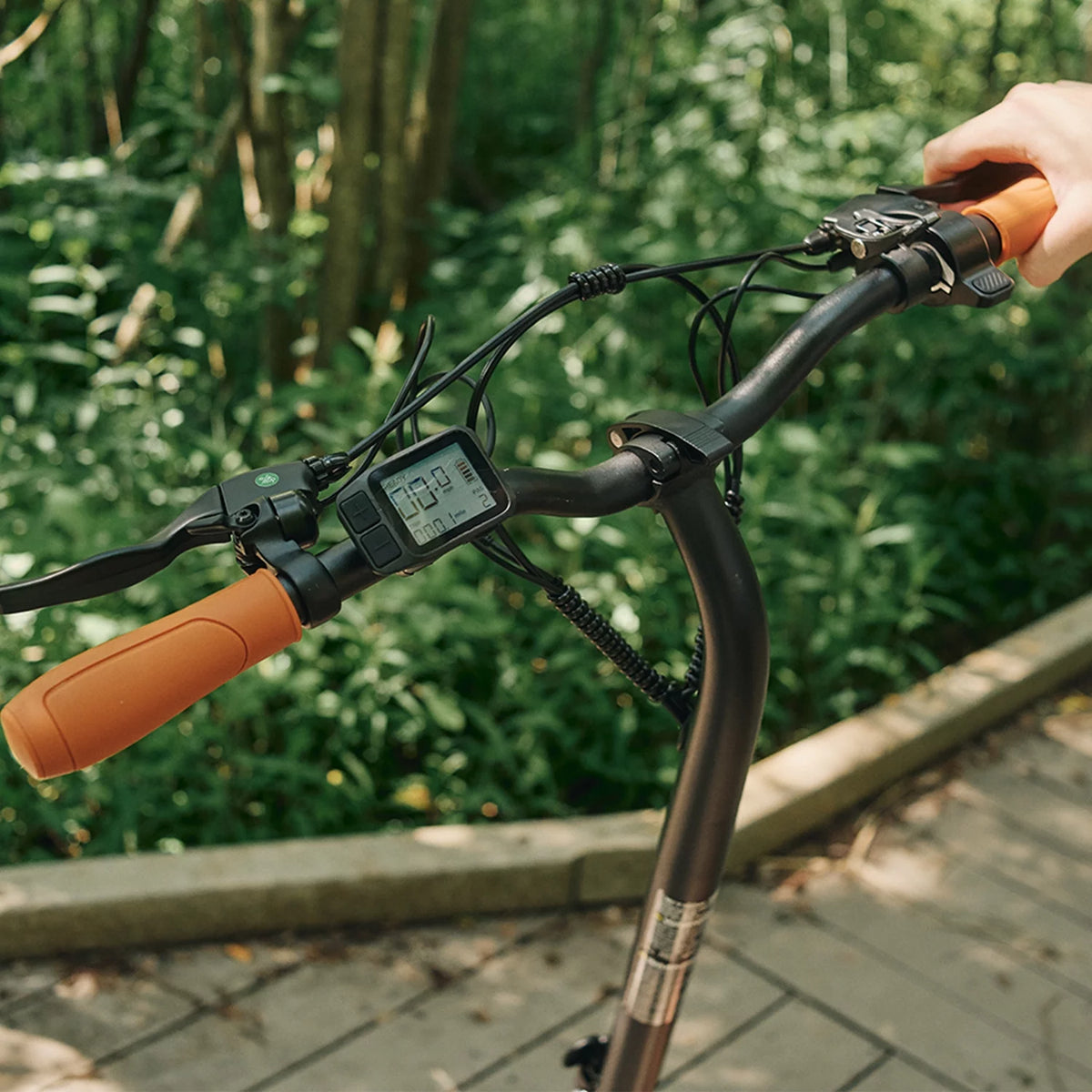 Electric Scooter D590775