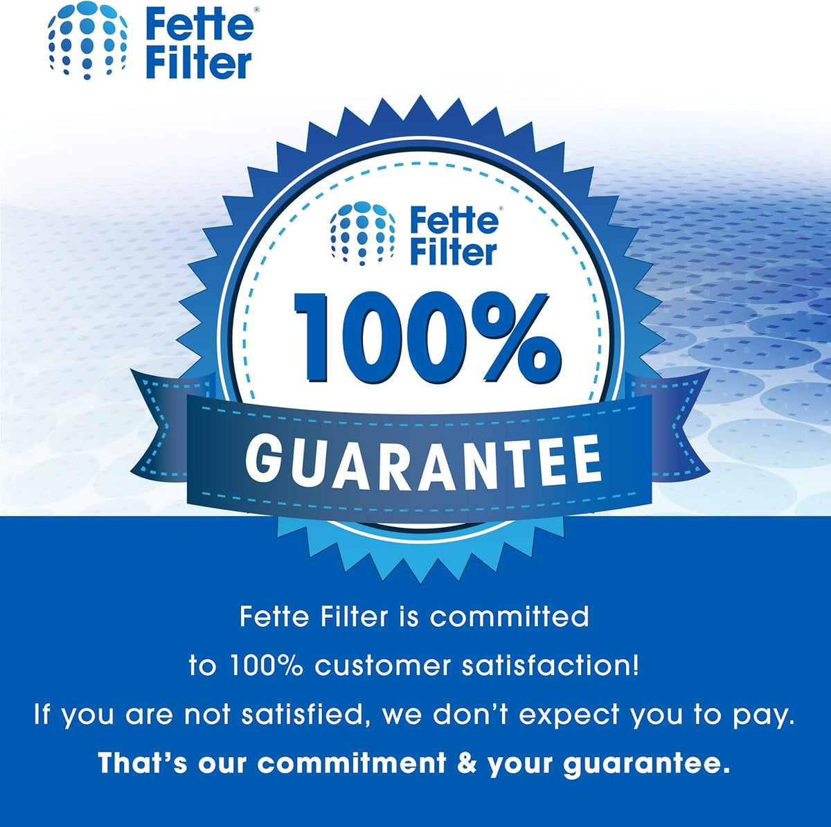 HEPA Filter Compatible with AeraMax 290 AeraMax 300 DX95 Air Purifiers D95375