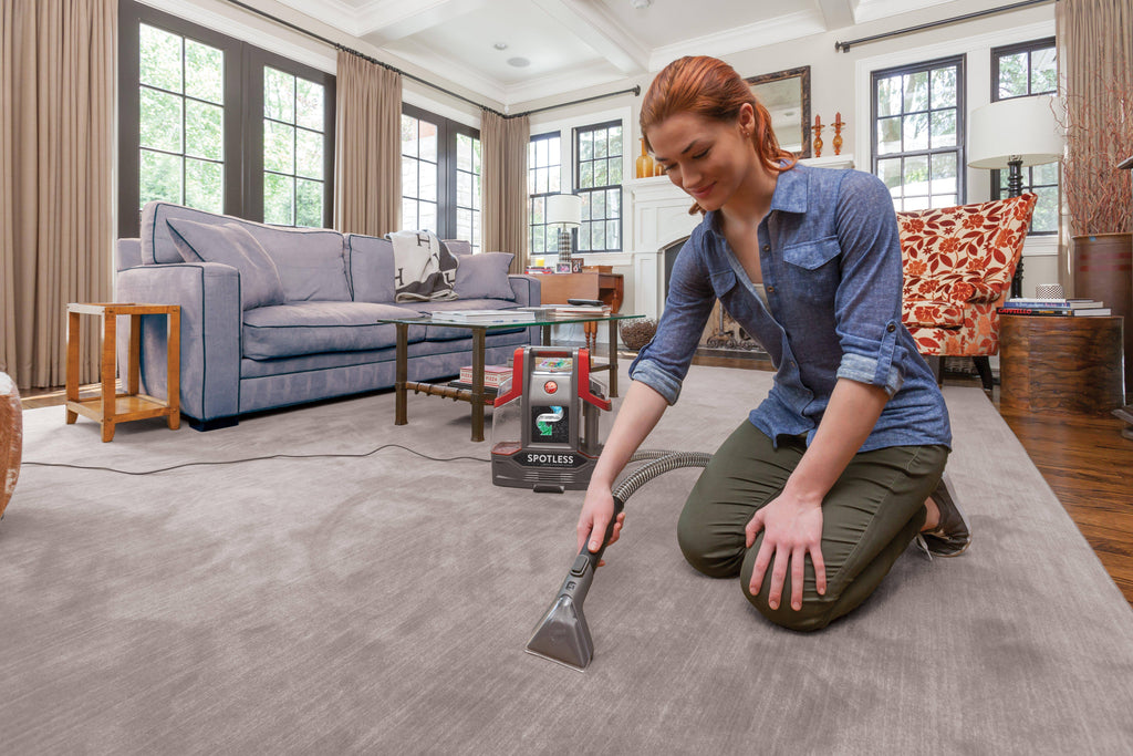 Portable Carpet Upholstery Spot Cleaner R4230