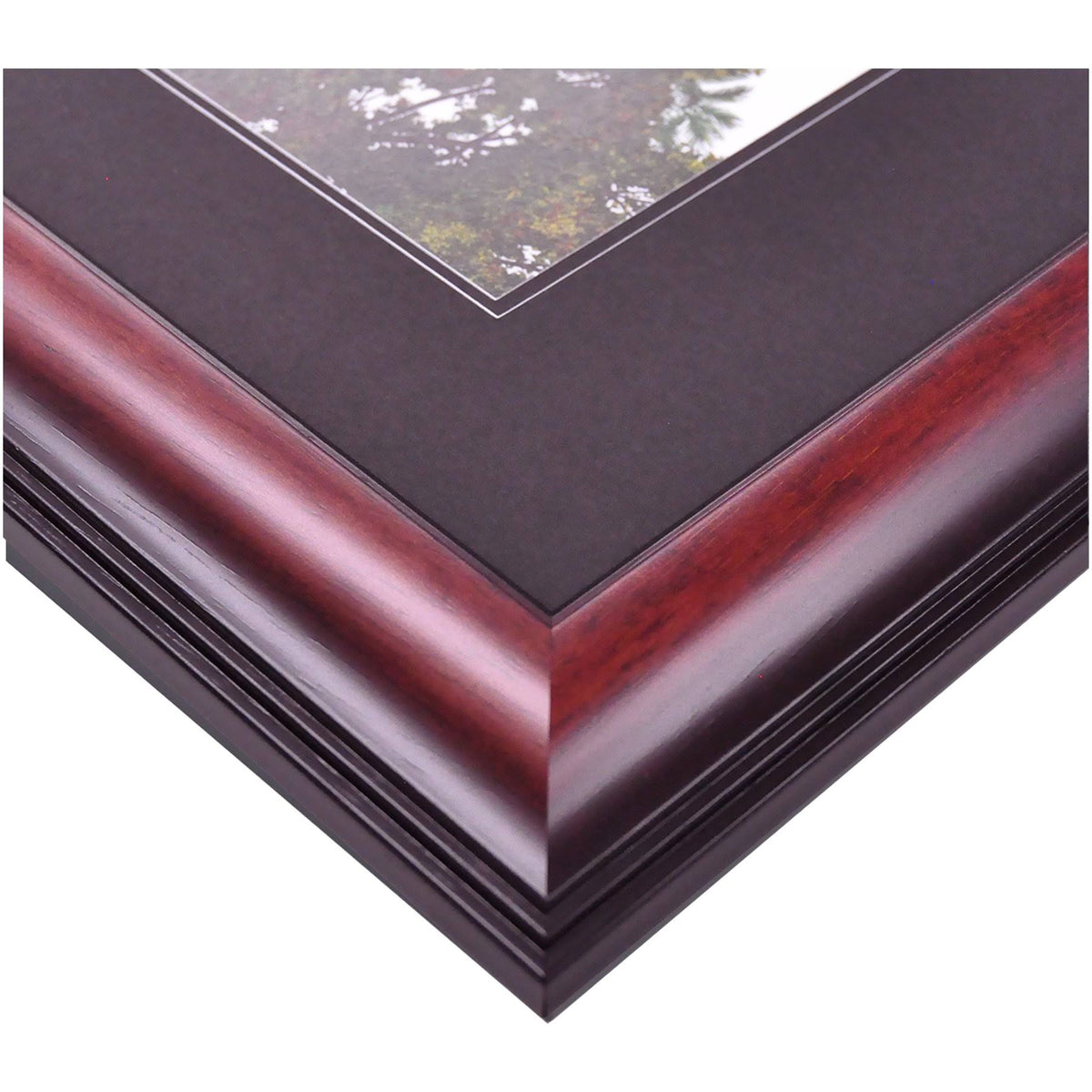 14 x 11 in. Satin Mahogany Diploma Frame G167770