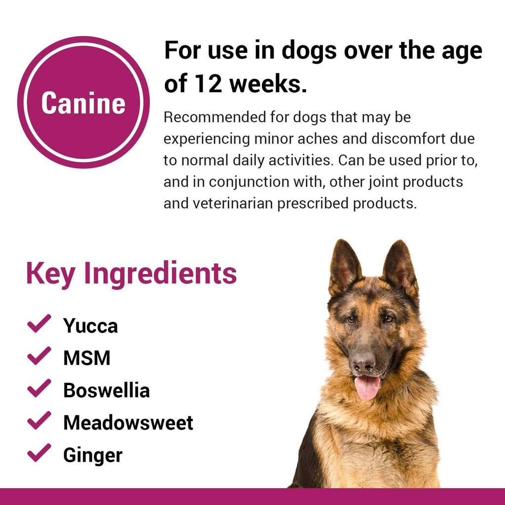 Pain Plus for Dogs Q3788