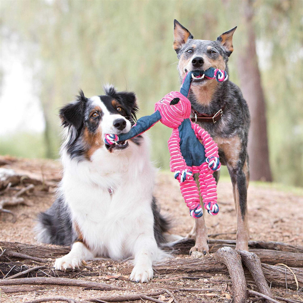 Elephant Dog Toy O644905