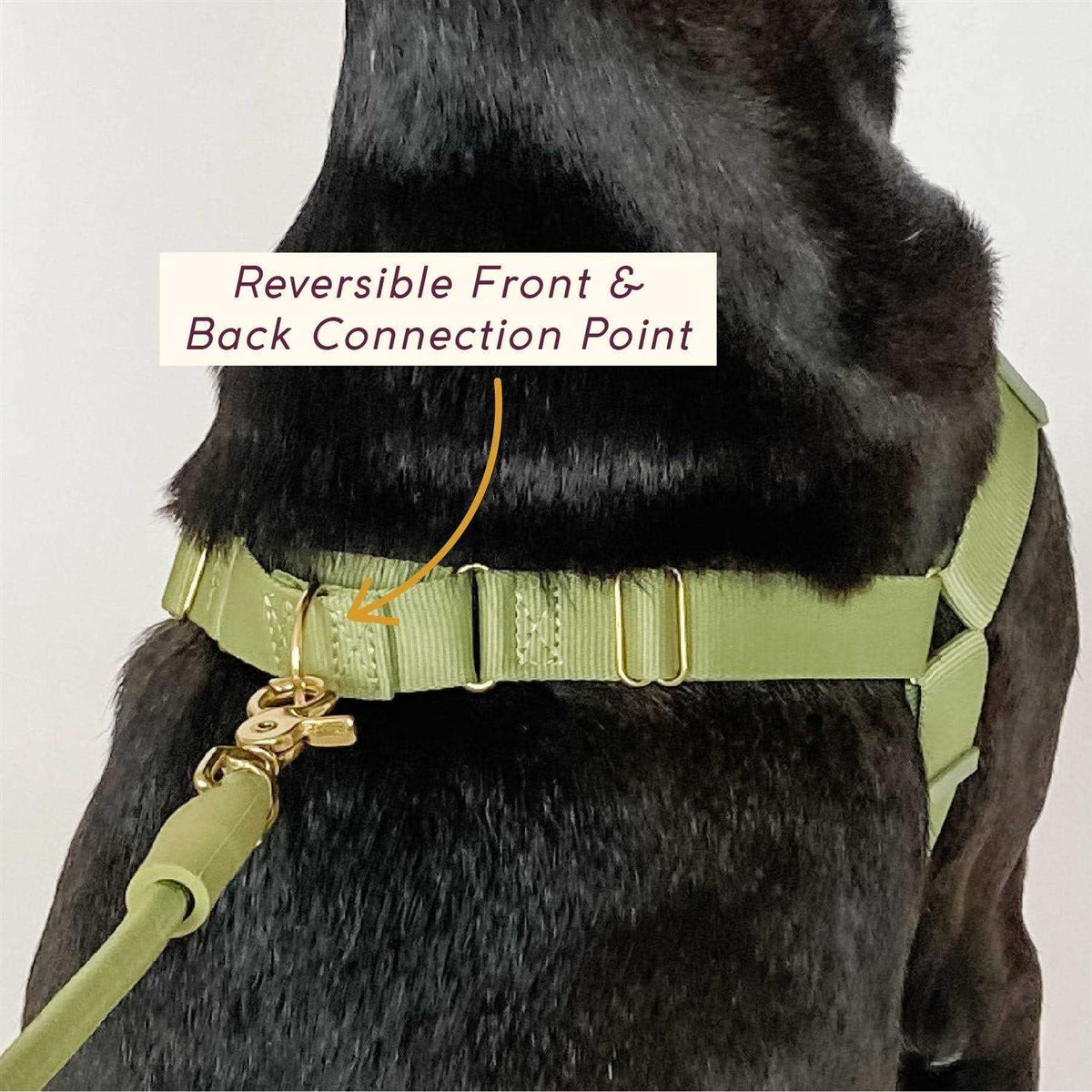 Pet Harness S7328