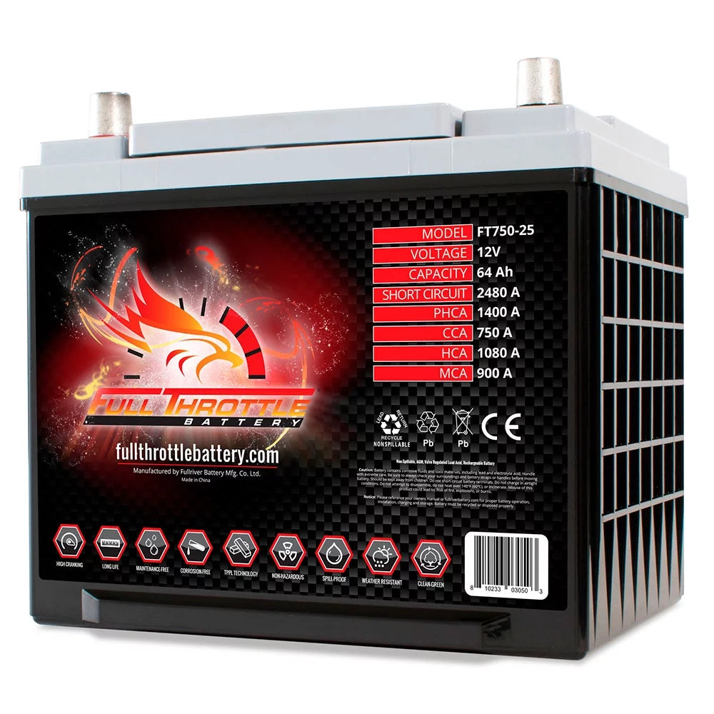 Group 25 AGM Battery A5398