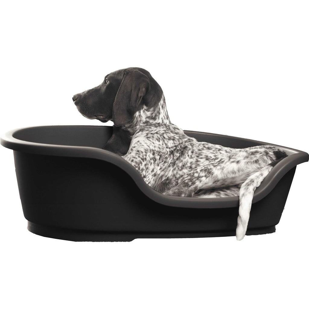 Pet Bed K2550