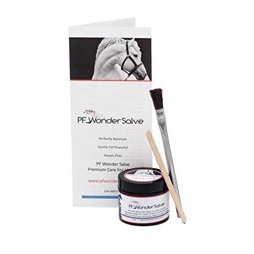 2 oz. Equine Wound Paste B49127