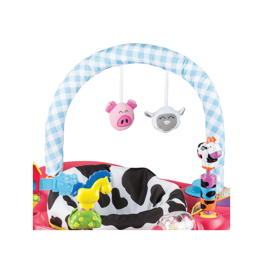 Bouncing Activity Saucer H864809