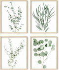 8"x10" Set of 4 Framed Botanical Prints R304