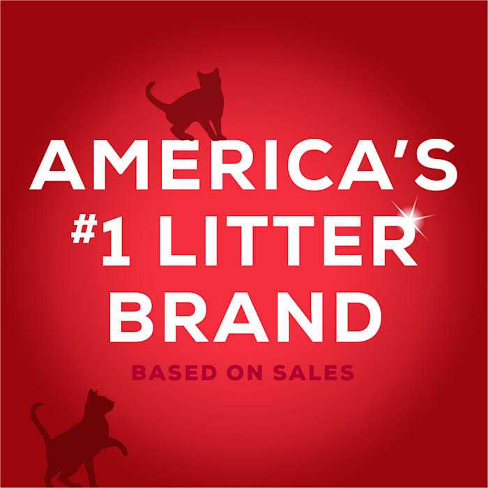 Unscented Non Clumping Cat Litter with Activated Charcoal E20575