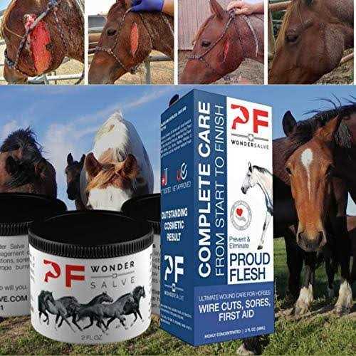 2 oz. Equine Wound Paste B49127