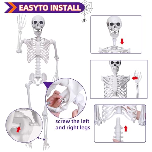 2 Pack 5.4Ft Posable Life Size Skeleton Decorations Y883368