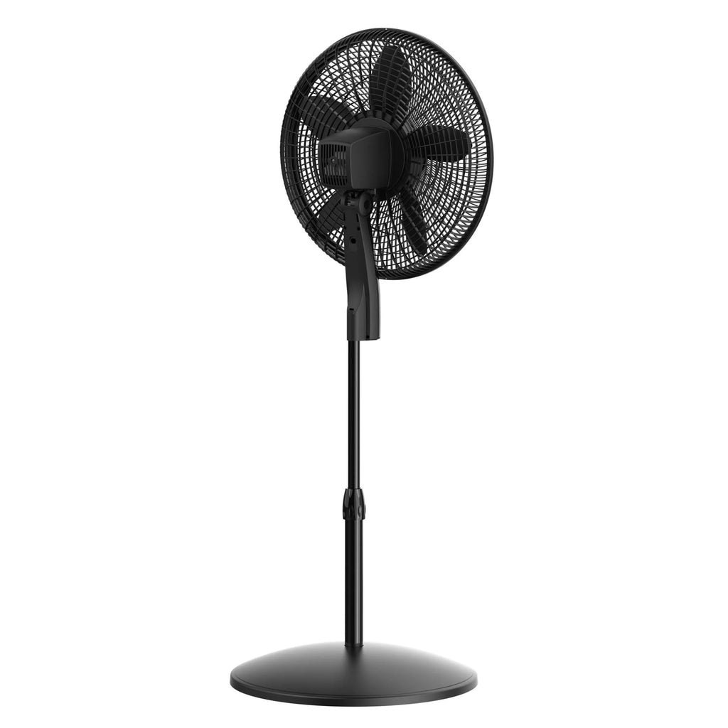 Black Pedestal Fan Q6912
