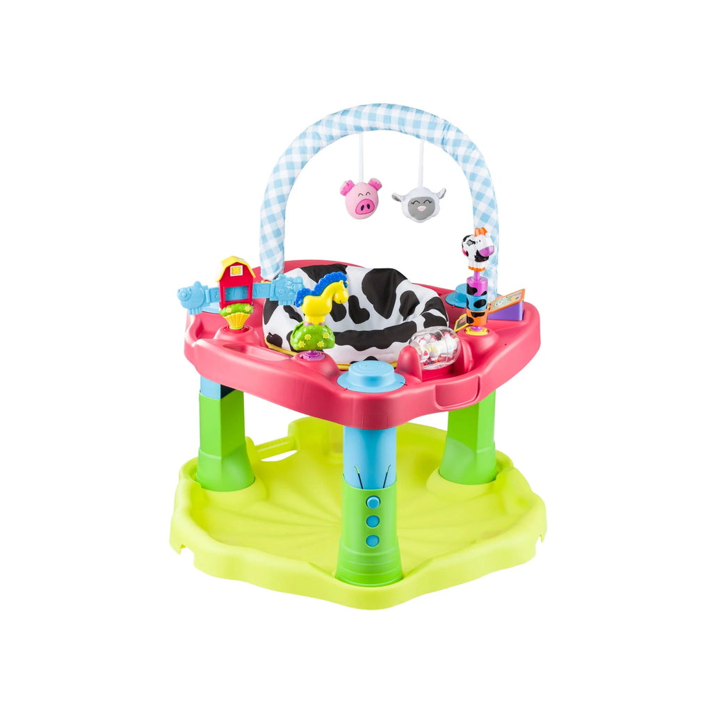 Bouncing Activity Saucer H864809