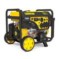 11,500/9,200-Watt Electric Start Gas Portable Generator D95119