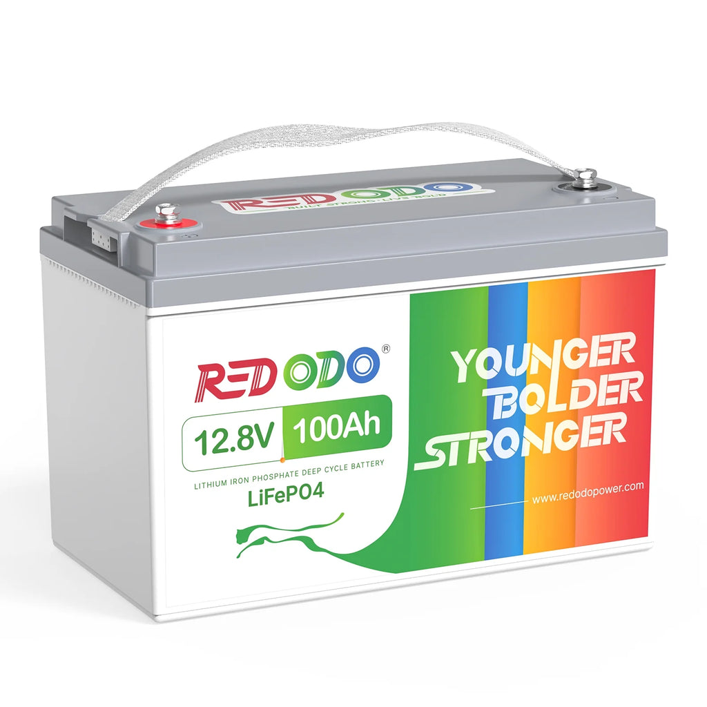 12V 100Ah LiFePO4 Deep Cycle Lithium Battery with 100A BMS B38312