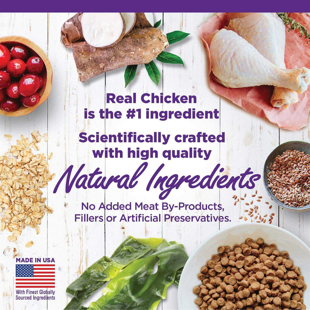 Chicken Dry Kitten Food B509