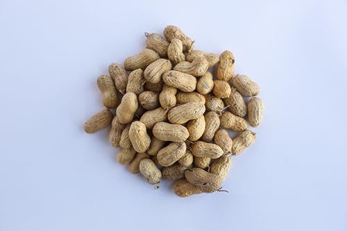 9 lbs Dried In-Shell Peanuts Q622