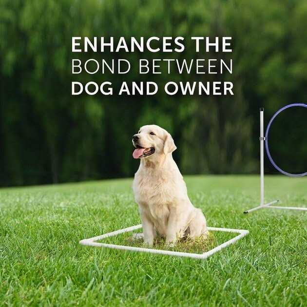 7 Piece Dog Agility Equipment Set T11390