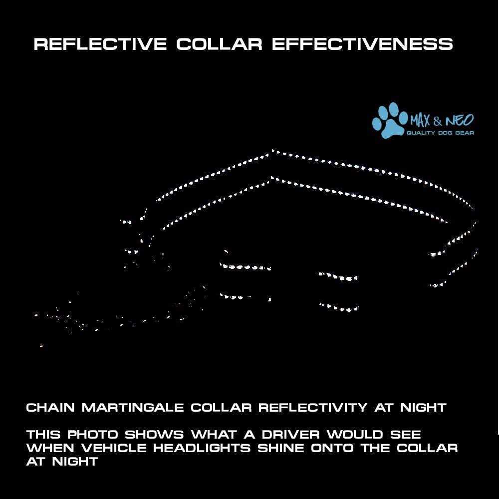 Stainless Steel Chain Martingale Collar D216565