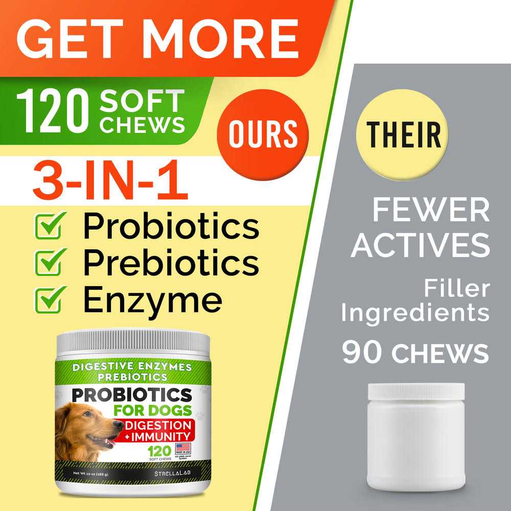 Probiotics for Dogs H2752