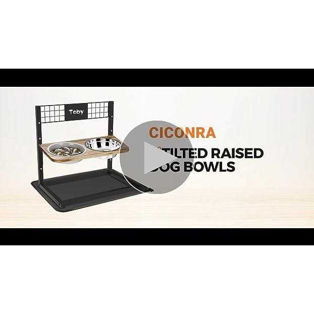 Metal Elevated Dog Bowls with Slow Feeder and Spillproof Mat H6244