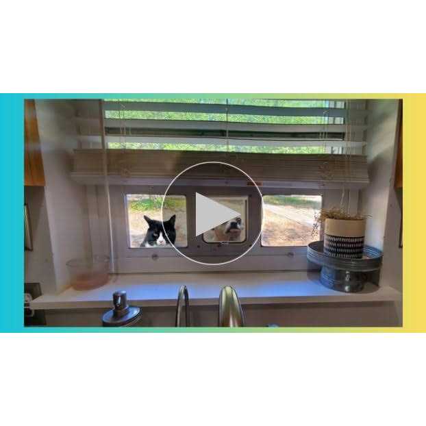 Aluminum Sash Pet Door I254