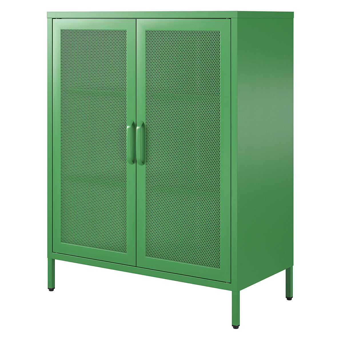 2 Door Accent Cabinet Q685