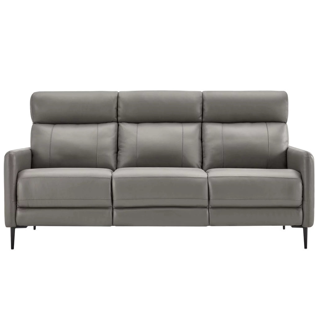 Grey Leather Sofa N162306