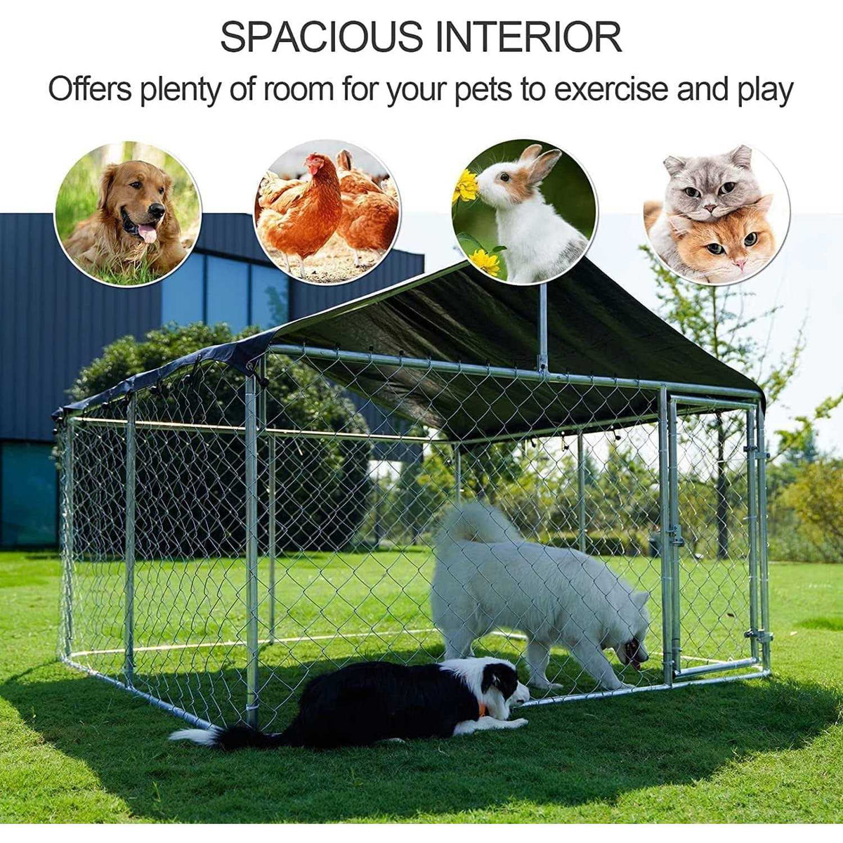 Outdoor Dog Kennel Heavy Duty with Galvanized Chain Link Y90857