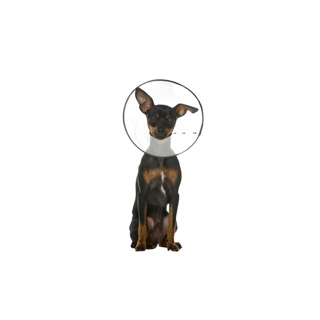 Clear Recovery Collar F7981