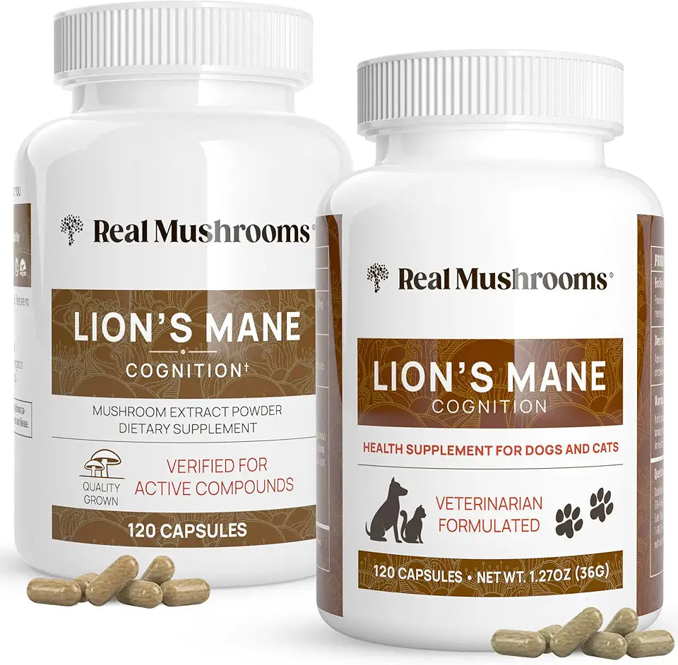 Lions Mane Mushroom Extract Supplements 120ct Vegan Non-GMO X1585