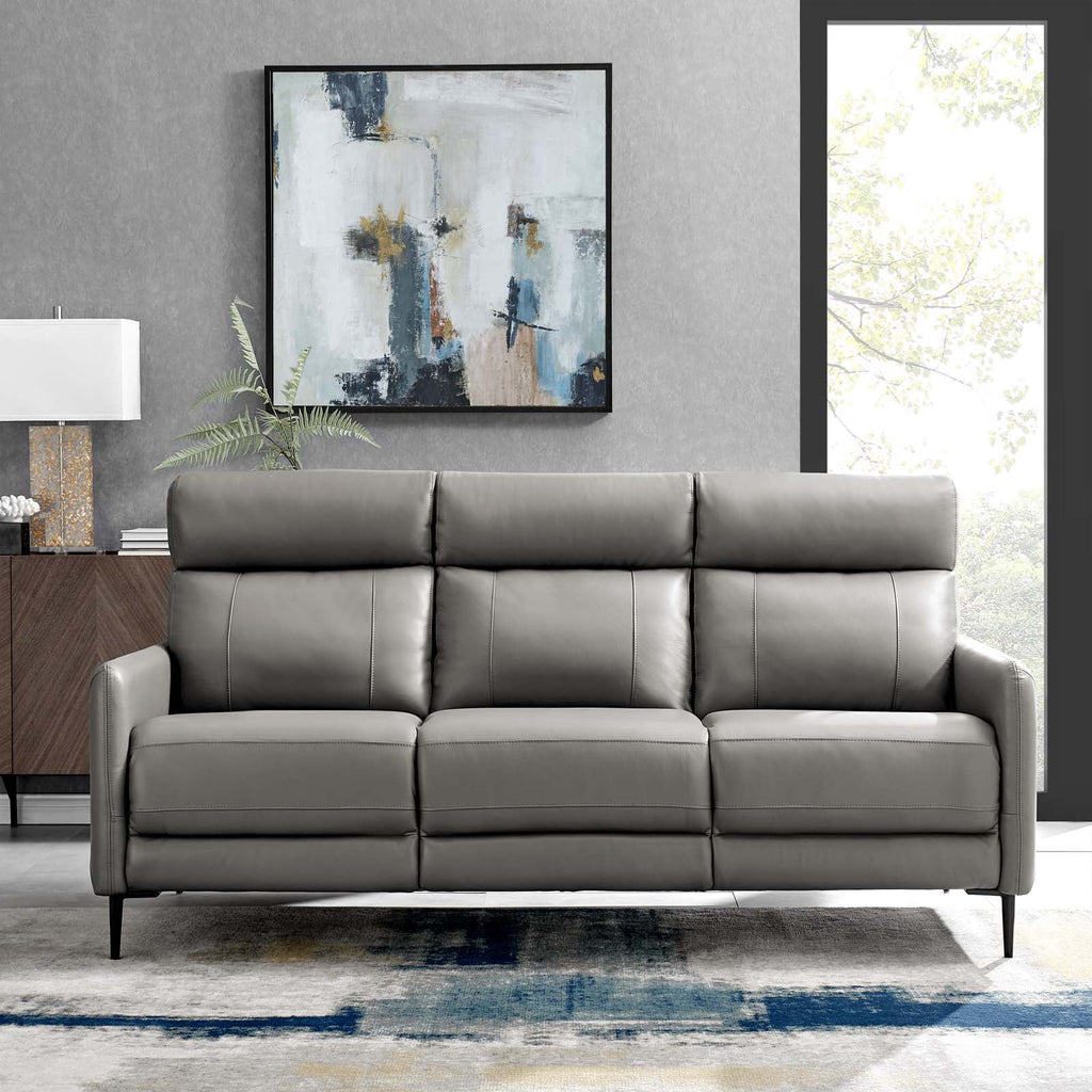 Grey Leather Sofa N162306