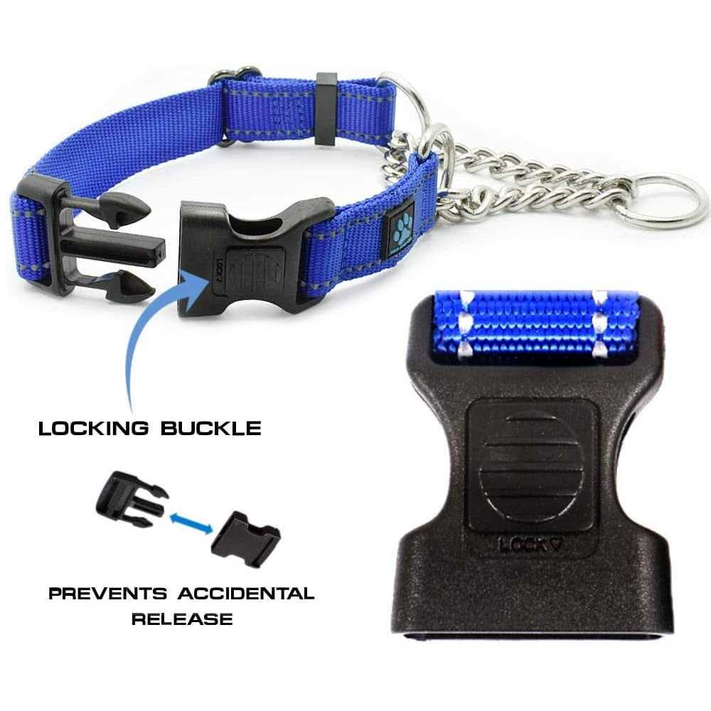 Stainless Steel Chain Martingale Collar D216565
