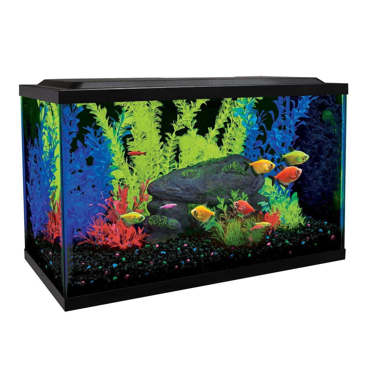 10 Gallon Aquarium Kit E618056